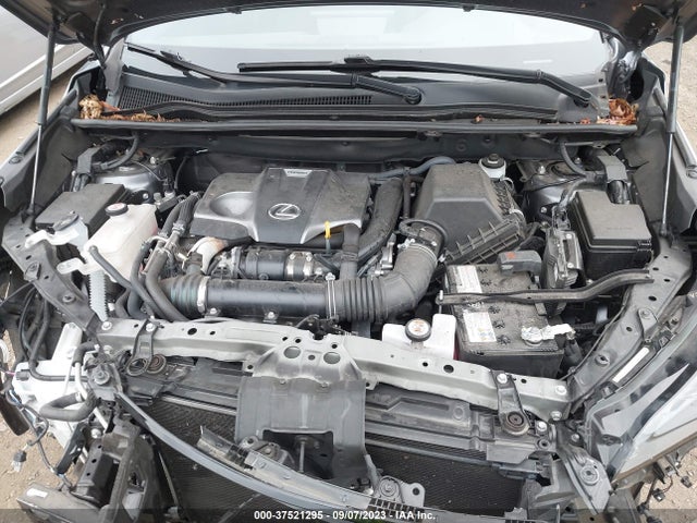 JTJGARDZXL2230174 Lexus Nx Nx 300