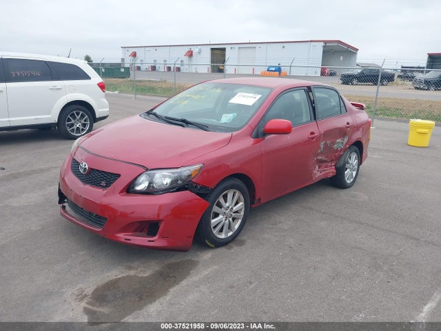 2010 TOYOTA COROLLA VIN: 2T1BU4EE8AC440192