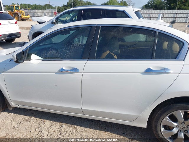 2010 HONDA ACCORD SDN EX-L VIN: 5KBCP3F82AB018883