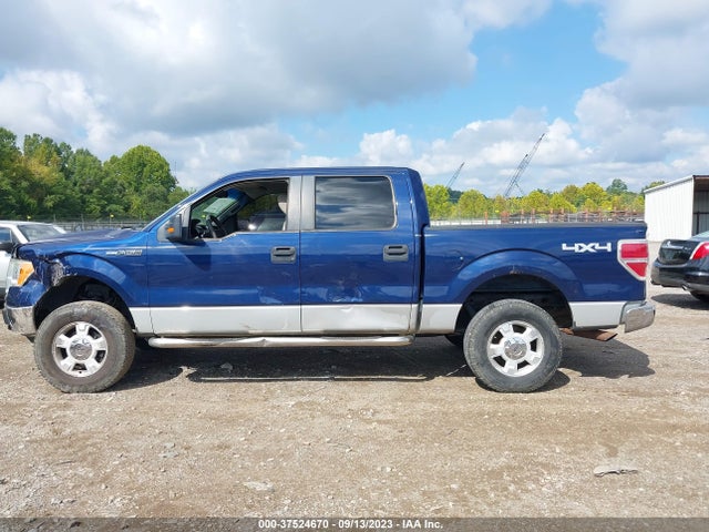 2009 FORD F-150 XL/XLT/FX4/LARIAT VIN: 1FTPW14VX9FA19299