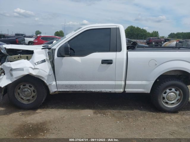 1FTMF1C51KKE77105 Ford F-150 Xl/xlt