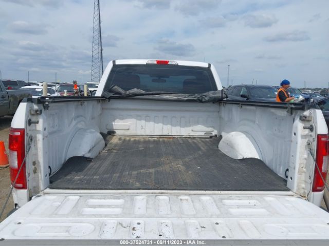 1FTMF1C51KKE77105 Ford F-150 Xl/xlt