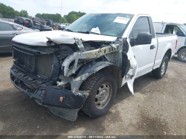 1FTMF1C51KKE77105 Ford F-150 Xl/xlt
