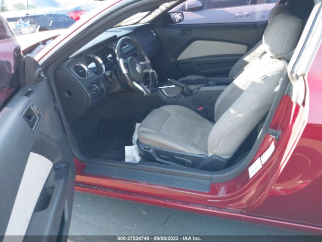 1ZVBP8AM7E5321738 Ford Mustang V6