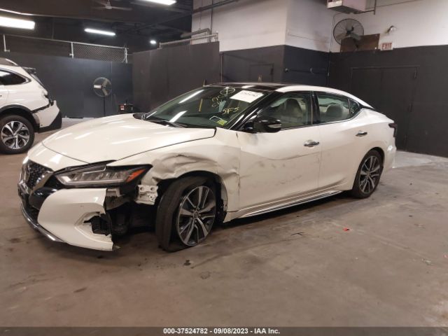 1N4AA6DV7LC373006 Nissan MAXIMA SL