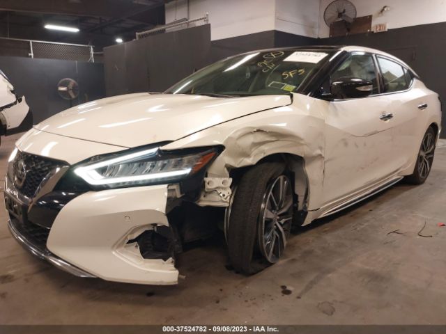 1N4AA6DV7LC373006 Nissan MAXIMA SL