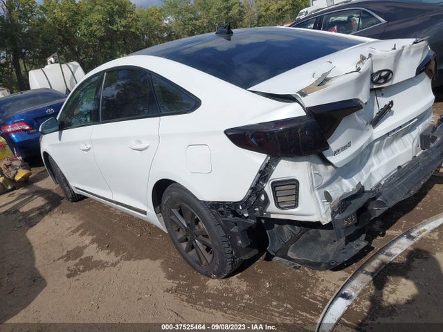 Hyundai Sonata 2.4l 2016 5NPE24AF4GH407715 Image 3