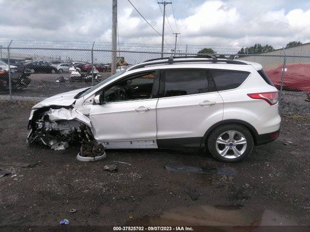 Ford ESCAPE SE 2016 1FMCU0GX9GUA62659 Image 14
