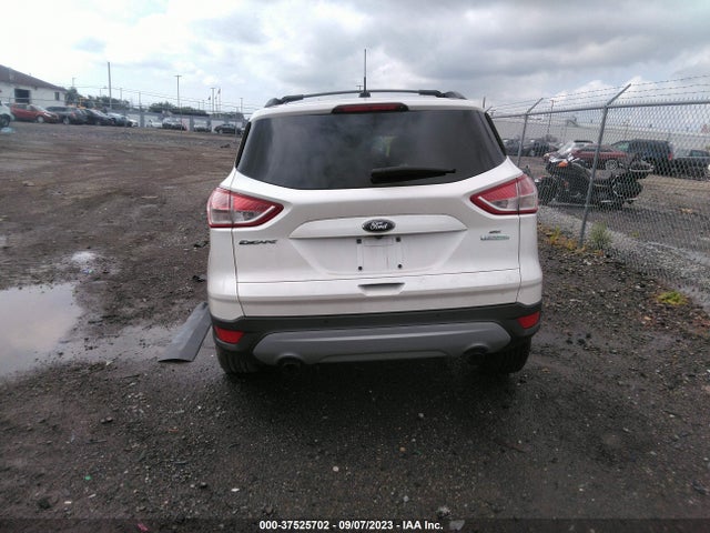 Ford ESCAPE SE 2016 1FMCU0GX9GUA62659 Image 16