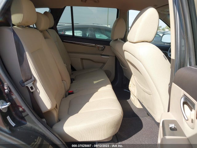 2010 HYUNDAI SANTA FE GLS VIN: 5NMSG3AB1AH387391