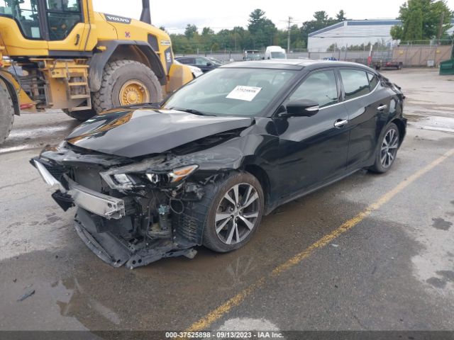 1N4AA6AP5HC424645 Nissan Maxima Platinum