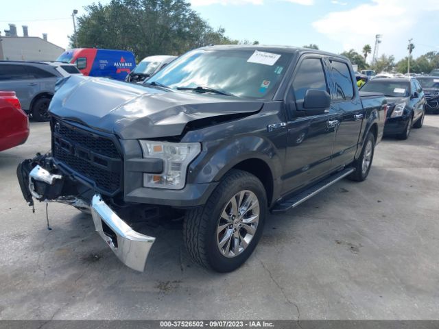 1FTEW1CP5FKE19591 Ford F-150 Xl/lariat/xlt