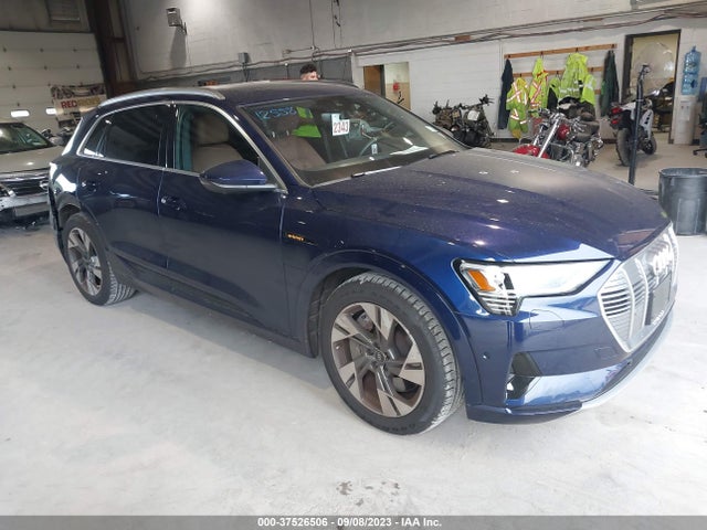 2022 Audi e-tron, VIN: WA1LAAGE0NB011541