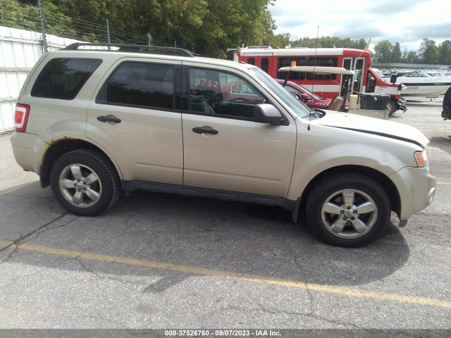 2012 FORD ESCAPE XLT VIN: 1FMCU9DG9CKB96974