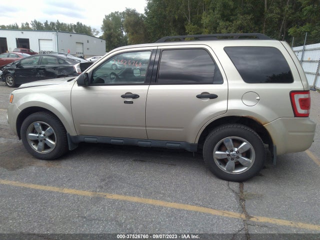 2012 FORD ESCAPE XLT VIN: 1FMCU9DG9CKB96974