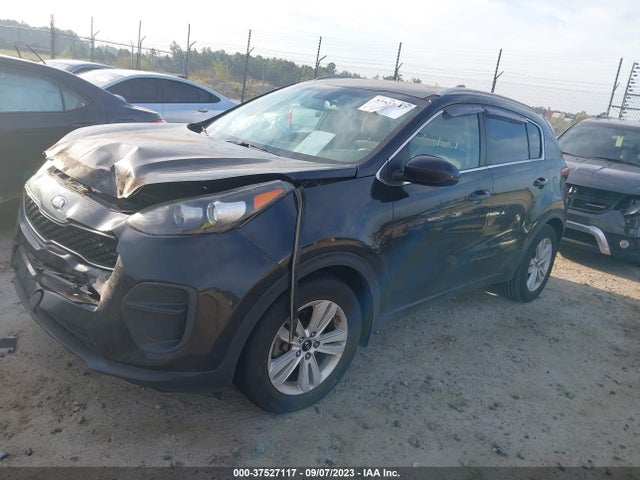 2017 KIA SPORTAGE LX VIN: KNDPM3AC8H7212077