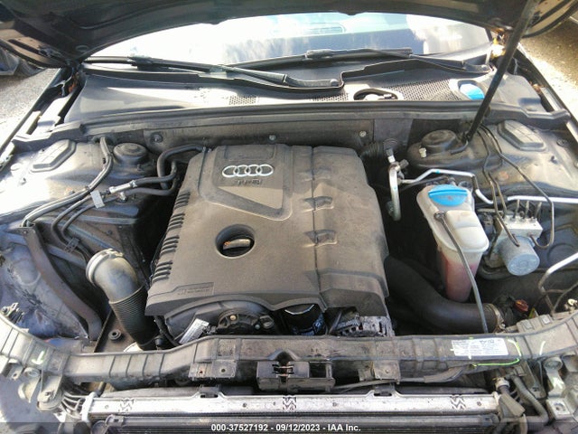 2013 AUDI A4 PREMIUM PLUS VIN: WAUFFAFL3DN045567