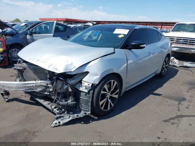 1N4AA6AP4HC445423 Nissan MAXIMA SL