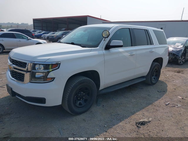 Chevrolet Tahoe Commercial 2019 1GNSKDEC8KR301070 Image 2