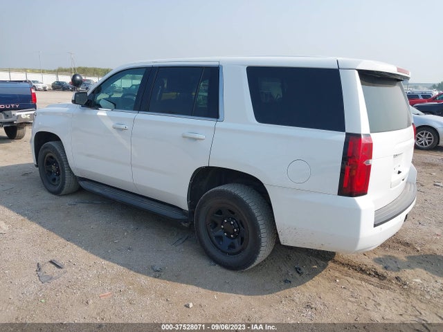 Chevrolet Tahoe Commercial 2019 1GNSKDEC8KR301070 Image 3