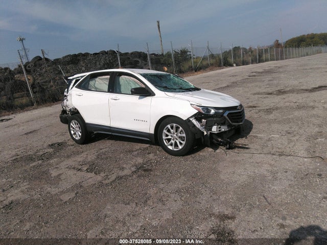Chevrolet EQUINOX LS 2018 2GNAXHEV9J6172286 Image 1