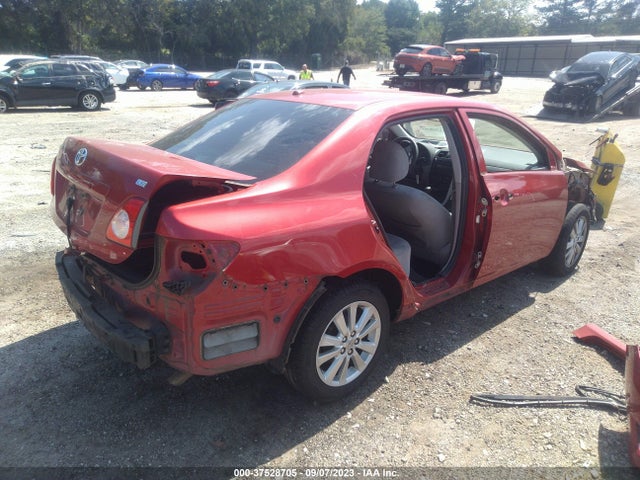2010 TOYOTA COROLLA VIN: 2T1BU4EE3AC304813