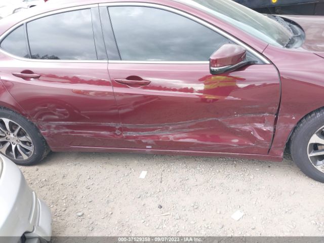 19UUB1F3XFA025012 Acura TLX
