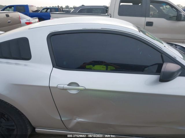 1ZVBP8AM1E5208710 Ford Mustang V6