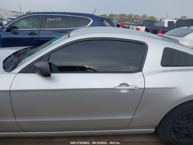 1ZVBP8AM1E5208710 Ford Mustang V6