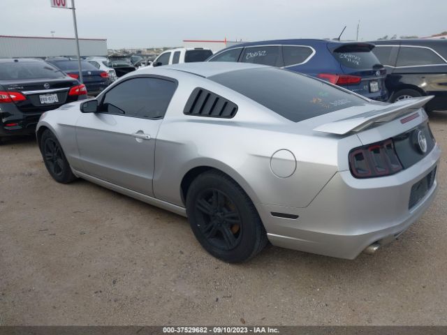 1ZVBP8AM1E5208710 Ford Mustang V6