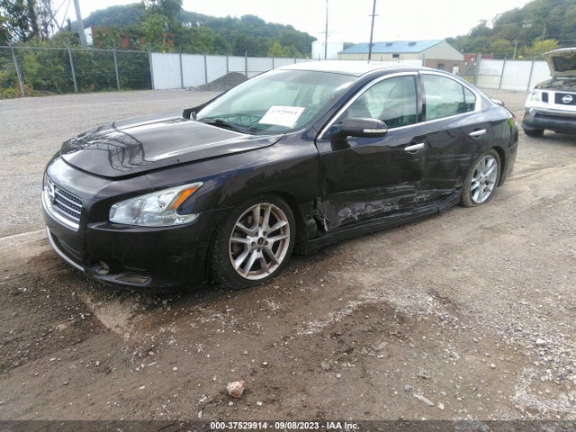 2010 NISSAN MAXIMA 3.5 SV VIN: 1N4AA5AP9AC844926