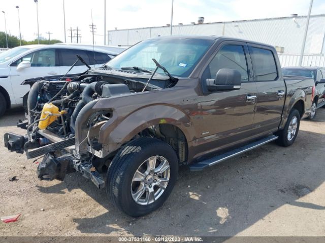 1FTEW1CP4FKD15934 Ford F-150 Xl/lariat/xlt