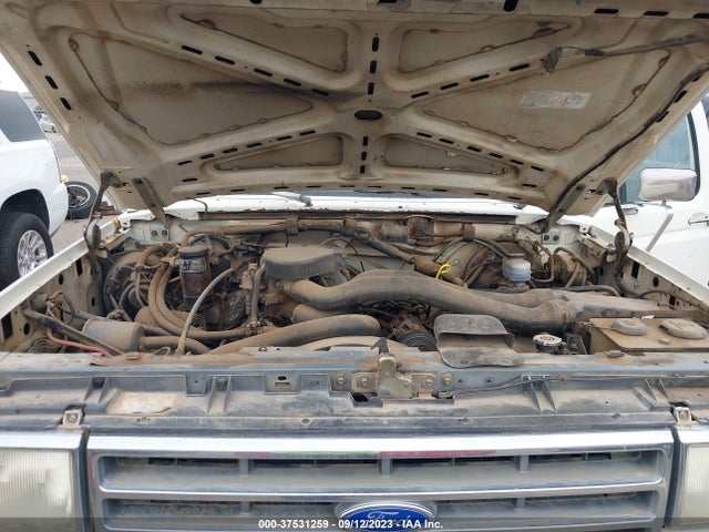 1991 FORD F150 VIN: 1FTEX15N1MKA34910