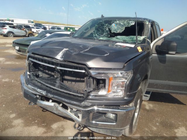 1FTEW1E53KKC44134 Ford F-150 Xl/xlt/lariat