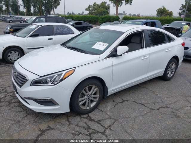 2015 HYUNDAI SONATA 2.4L SE VIN: 5NPE24AF7FH227627