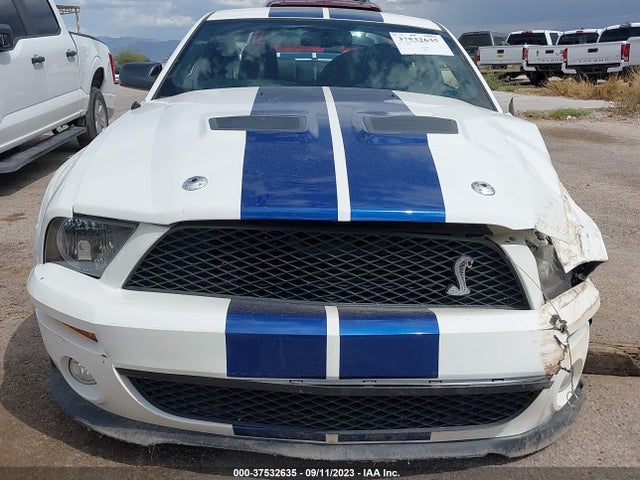 2009 FORD MUSTANG SHELBY GT500 VIN: 1ZVHT88S095134020