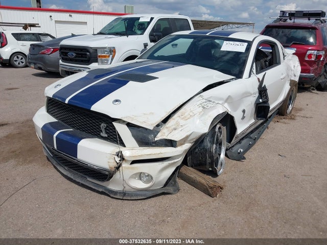 2009 FORD MUSTANG SHELBY GT500 VIN: 1ZVHT88S095134020