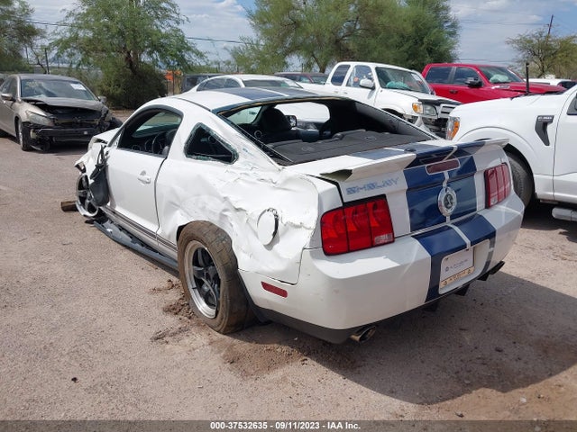 2009 FORD MUSTANG SHELBY GT500 VIN: 1ZVHT88S095134020