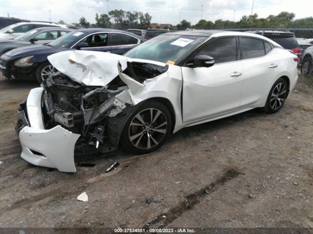 1N4AA6AP4HC454073 Nissan Maxima Platinum
