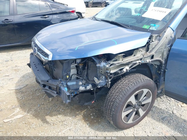 2017 SUBARU FORESTER VIN: JF2SJABCXHH484163