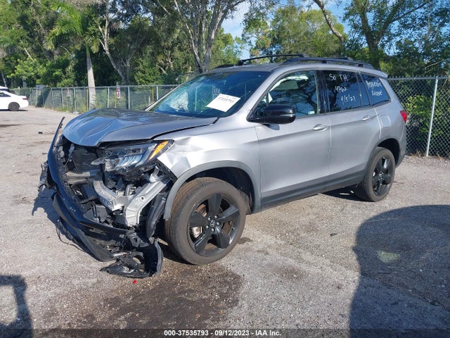 Honda Passport Elite 2019 5FNYF8H0XKB017073 Image 2