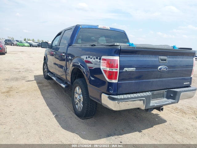 2010 FORD F-150 XL/XLT/FX4/LARIAT VIN: 1FTFW1EV1AFB15627