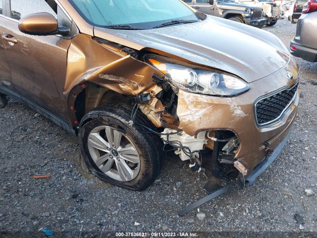 2017 KIA SPORTAGE LX VIN: KNDPM3AC6H7037747