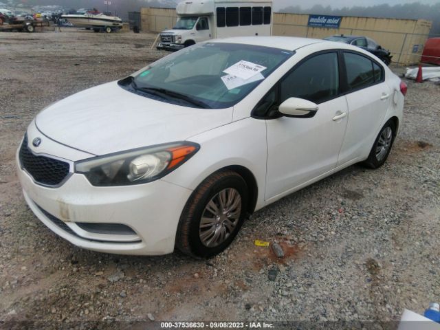 KNAFX4A66F5406843 KIA FORTE LX