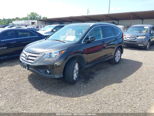 Honda Cr-v Ex-l 2014 2HKRM4H75EH697549 Image 2