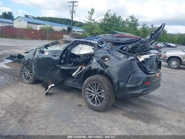 2024 LEXUS NX 2T2GGCEZ7RC033496 Photo 2