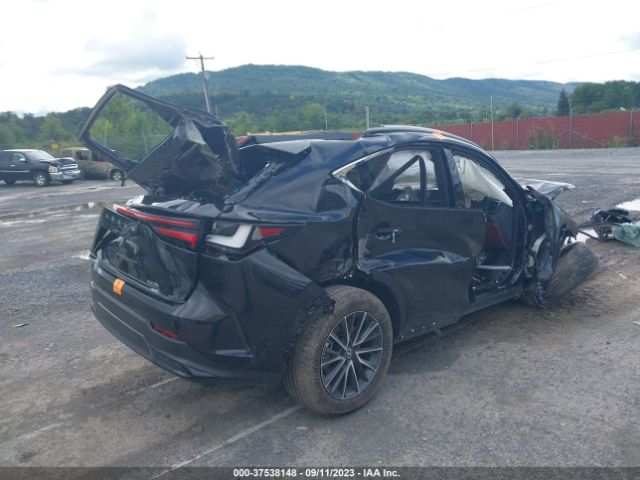 2024 LEXUS NX 2T2GGCEZ7RC033496 Photo 3