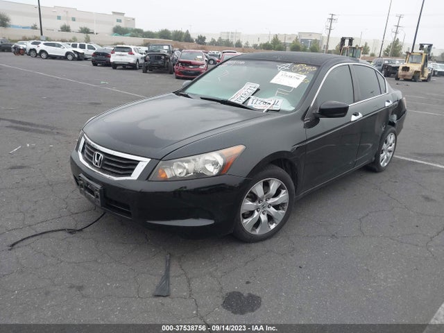 2010 HONDA ACCORD SDN EX VIN: 1HGCP2F76AA055641