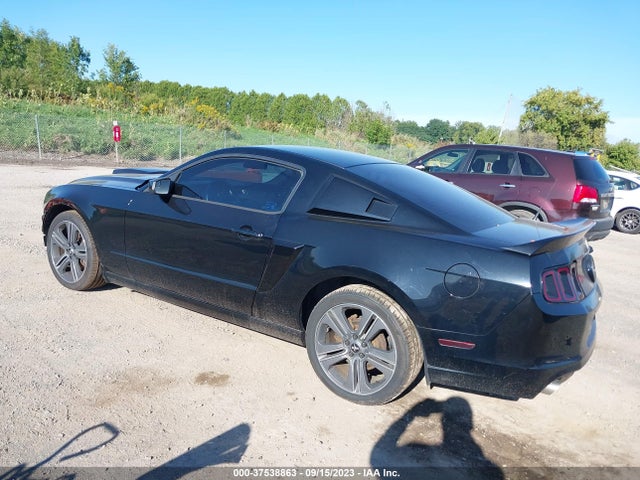 1ZVBP8AM3E5290021 Ford Mustang V6
