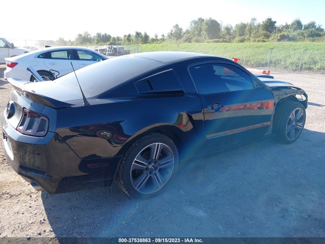 1ZVBP8AM3E5290021 Ford Mustang V6